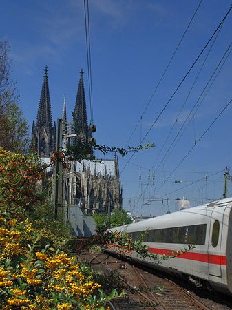 Kölner Dom mit ICE Fotos