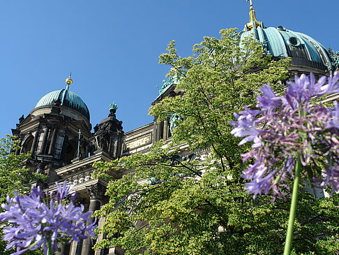 Foto Berliner Dom mit Lustgarten - Berlin