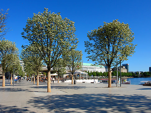 Fotos Alster Pavillon | Hamburg