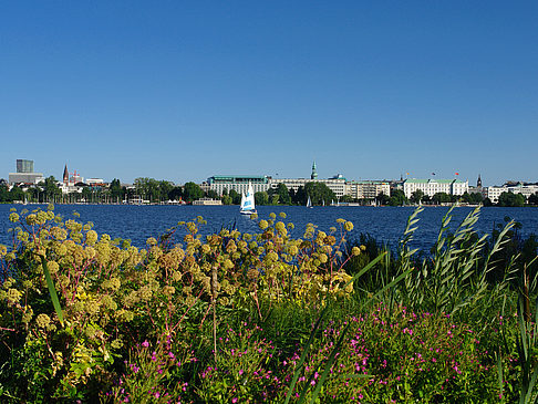 Blick nach Osten von der Außenalster Fotos