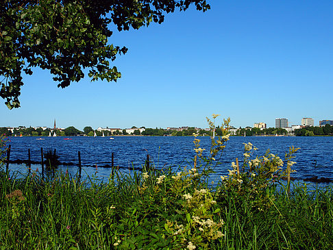 Blick nach Osten von der Außenalster Fotos