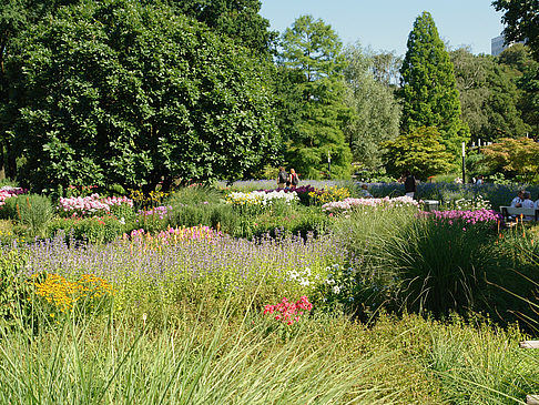 Fotos Planten un Blomen - Gärten