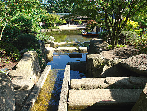 Fotos Planten un Blomen - Japanischer Garten | Hamburg