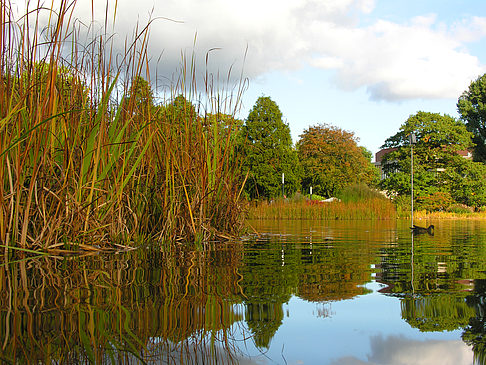 Fotos Planten un Blomen