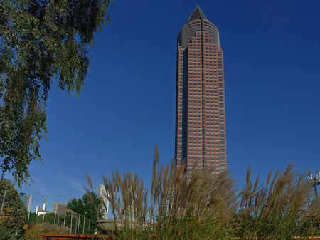 Messeturm mit Wiese Foto 