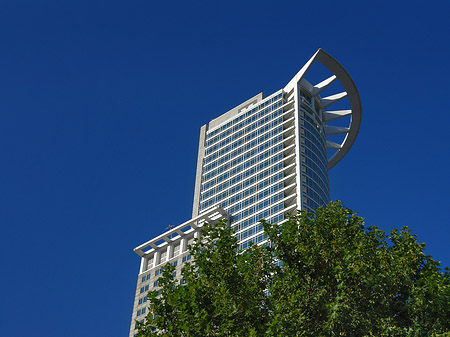 Fotos Westendtower mit Baum | Frankfurt am Main