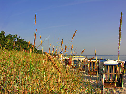 Fotos Dünen | Ostseebad Binz