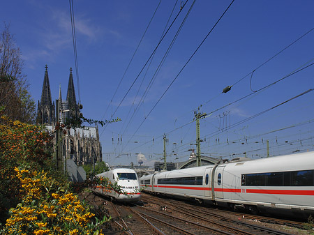 Fotos Kölner Dom mit ICE | Köln