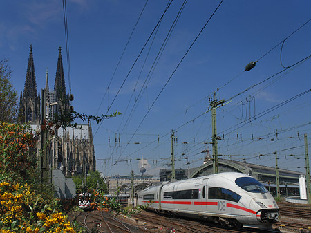 Foto Kölner Dom mit ICE