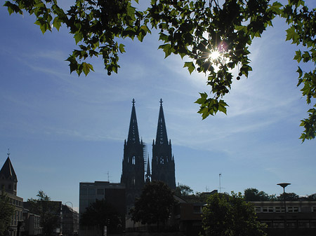 Foto Kölner Dom - Köln