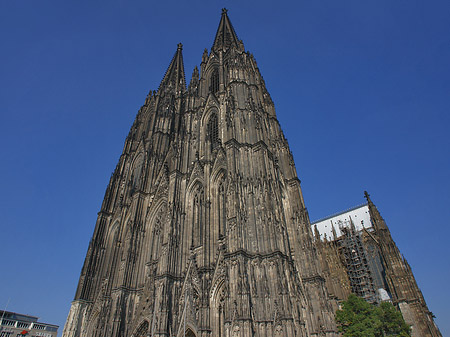 Westfassade des Kölner Doms Fotos