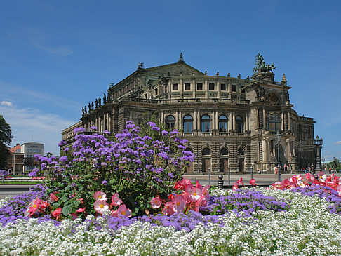 Foto Semperoper mit Blumen - Dresden