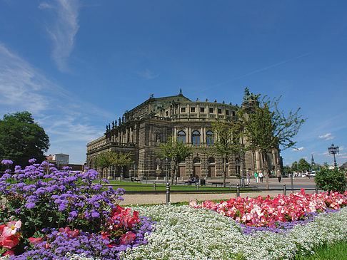 Foto Semperoper mit Blumen