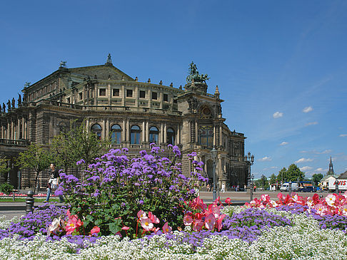 Foto Semperoper mit Blumen